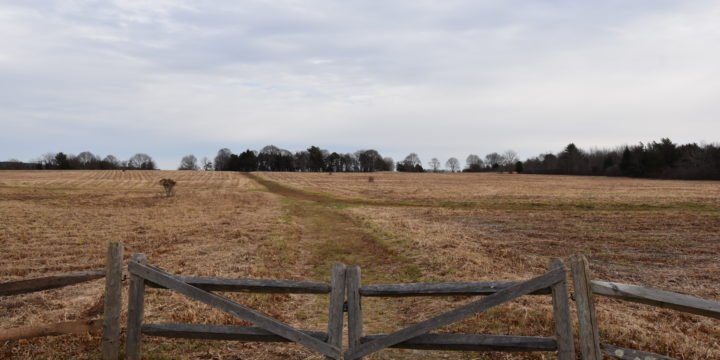 Bay Farm / Duxbury