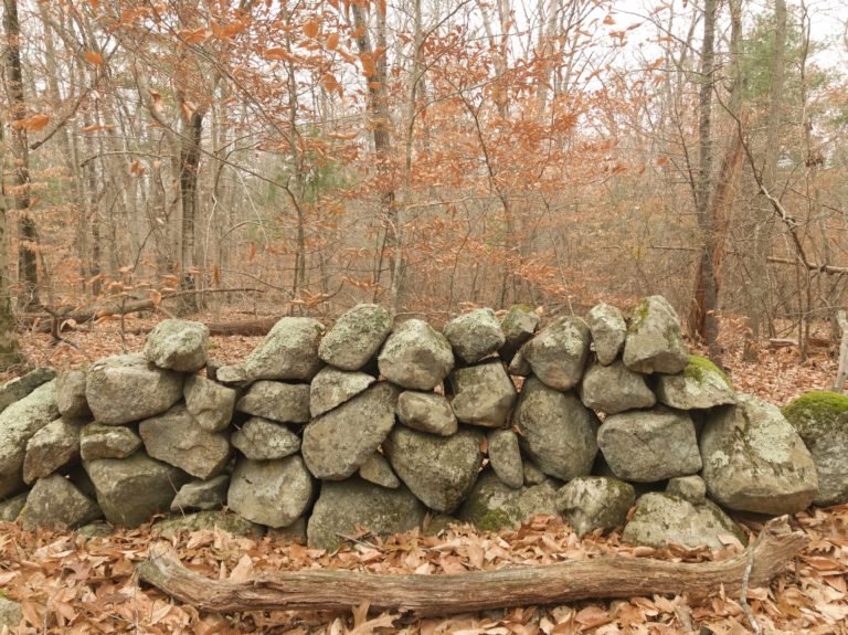 Donovan Trail Norwell