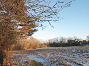 Philips Farm Preserve - Wildlands Trust - Marshfield