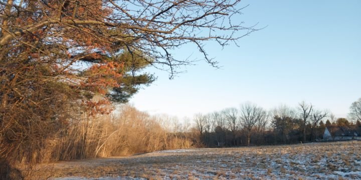 Phillips Farm / Marshfield