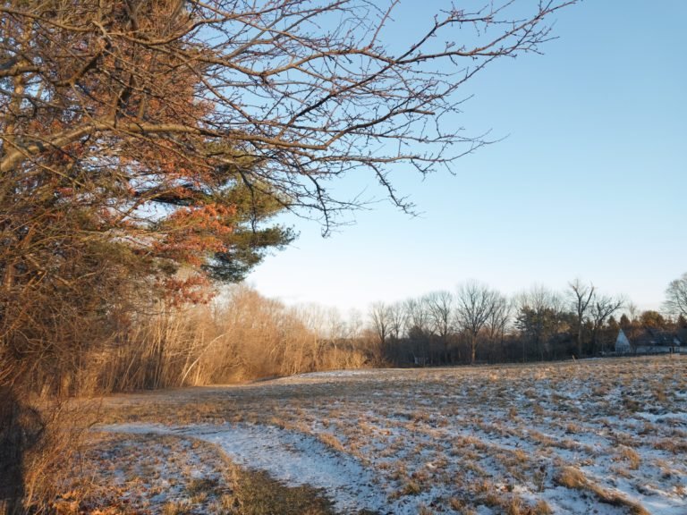 Philips Farm Preserve - Wildlands Trust - Marshfield