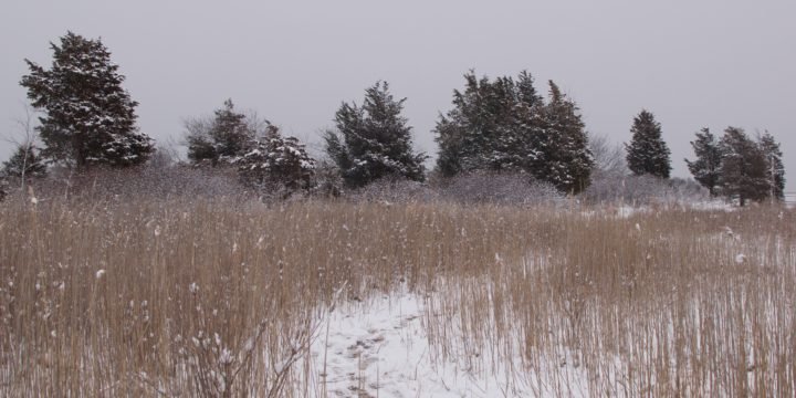 Best Snow Hikes on the South Shore