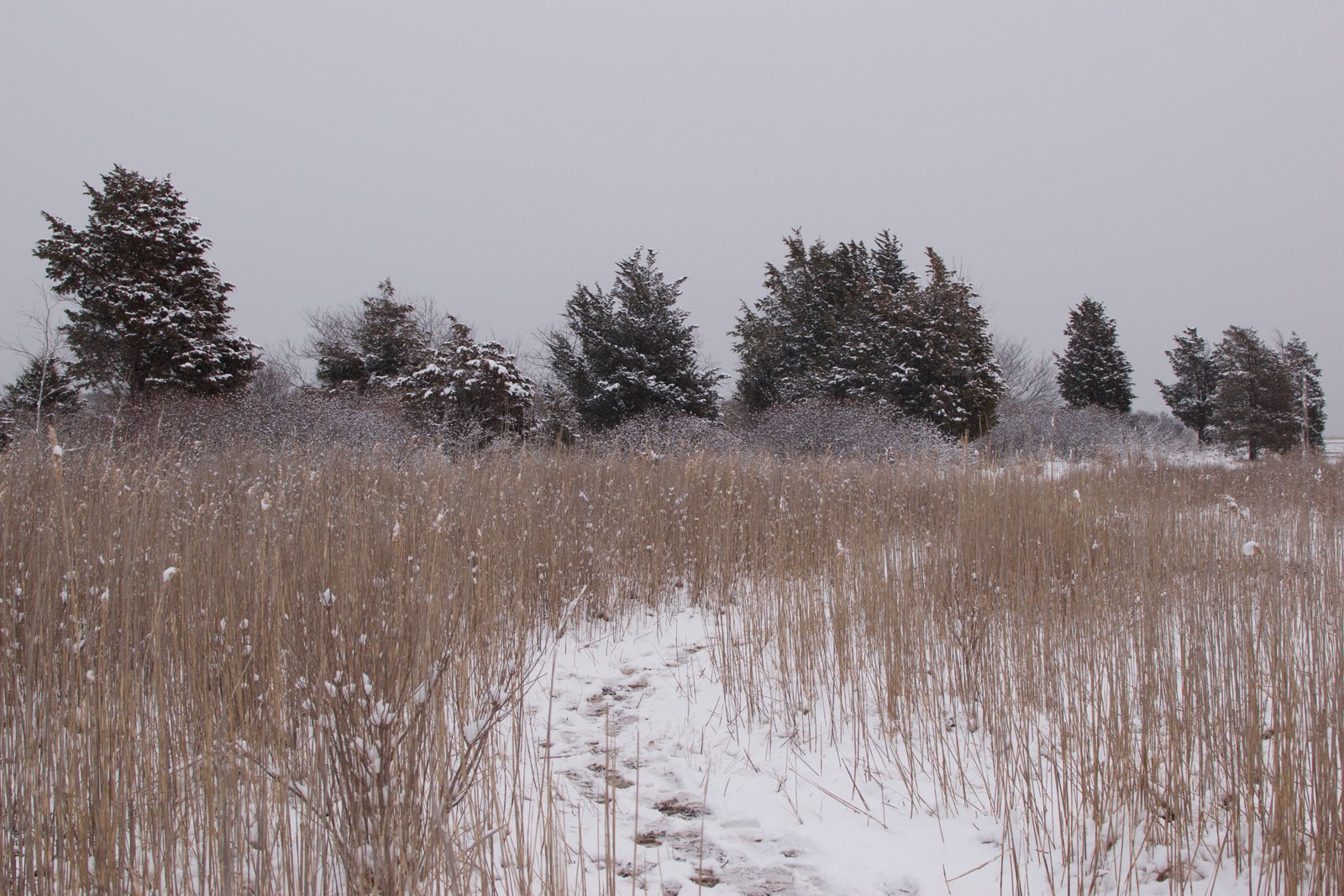 Driftway Scituate