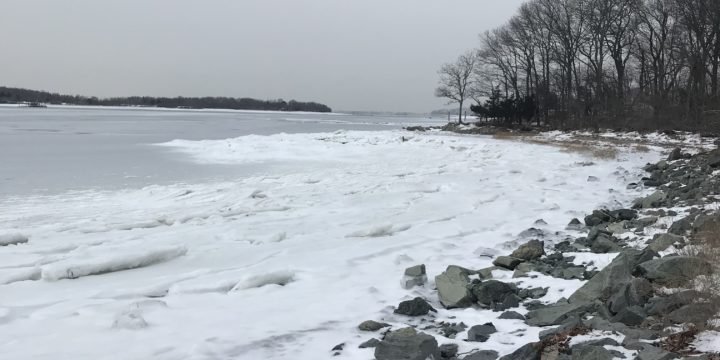 Bouve Conservation Area / Hingham
