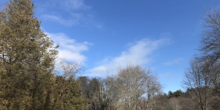 Jacobs Meadow / Hingham