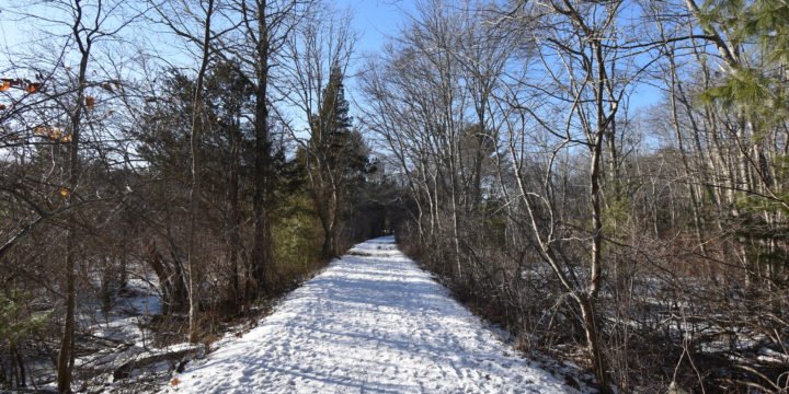 Willow Brook / Pembroke