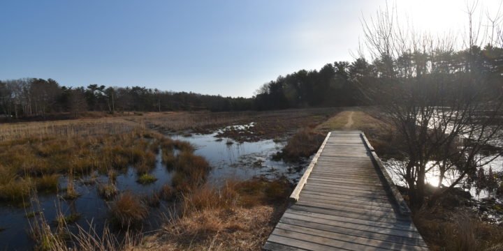 Crowell Conservation / Duxbury