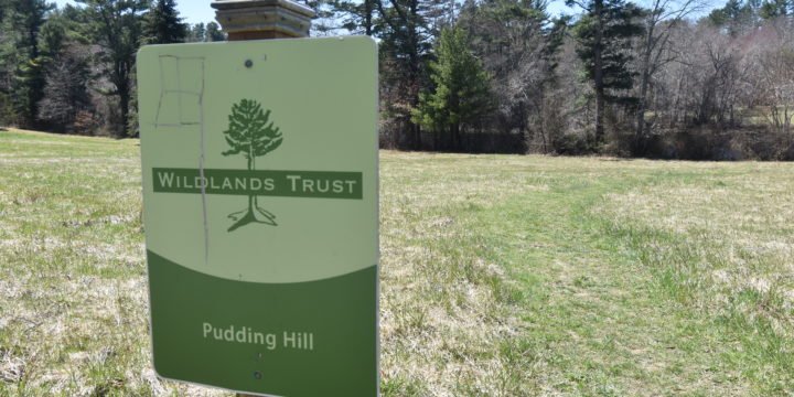 Pudding Hill / Pembroke