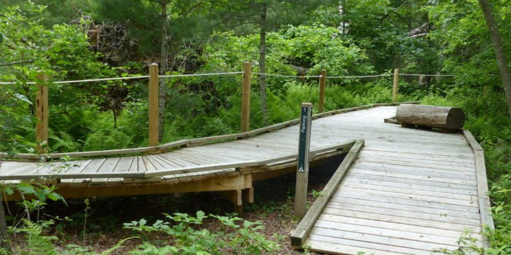 Accessible Trails