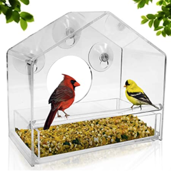 window bird feeder