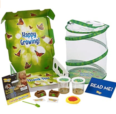 butterfly kit