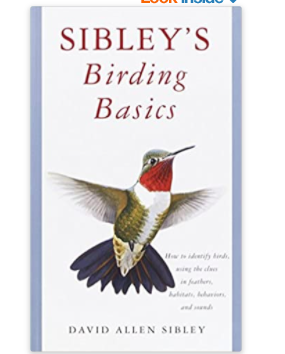 birding basics