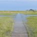 The Spit Scituate - South Shore Trails