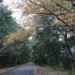 Bare Cove Park Hingham